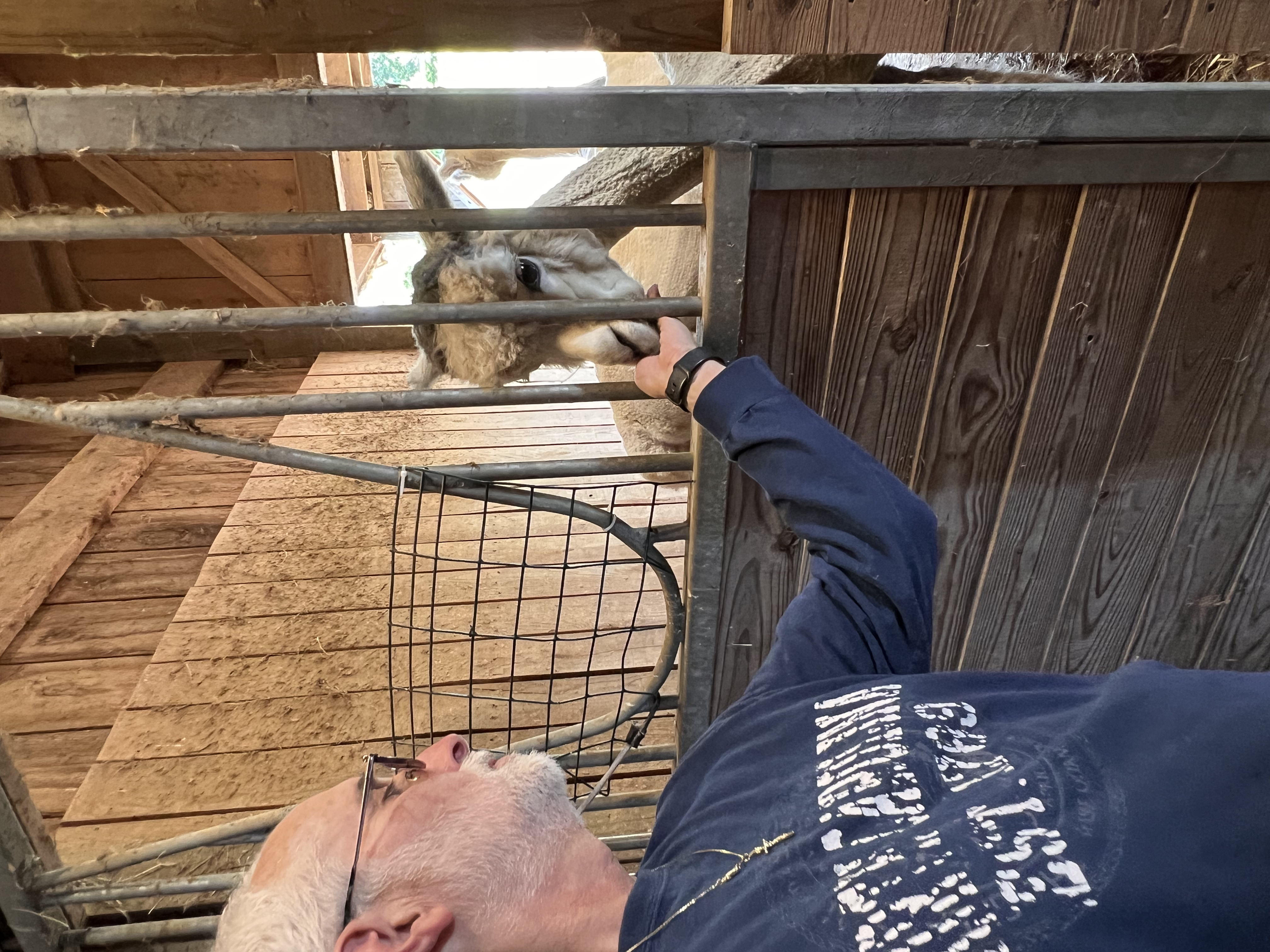 ./2025/04 - Virginia Creeper/IMG_0268.jpg